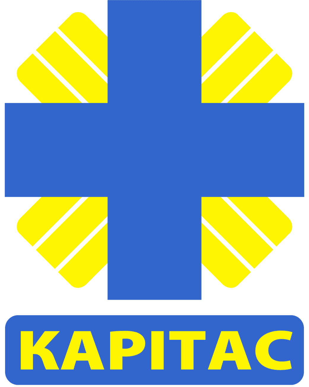organization-logo
