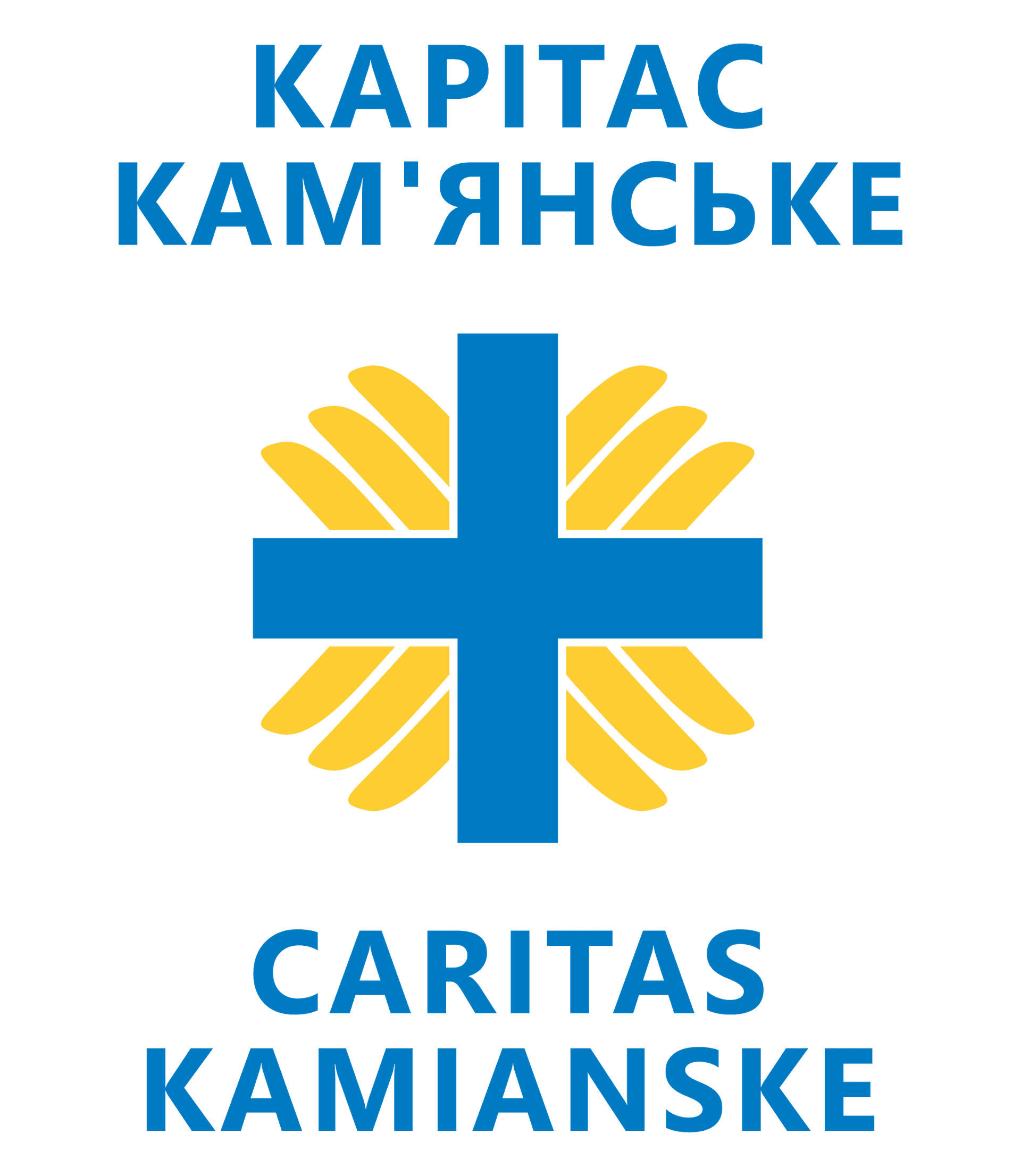 organization-logo