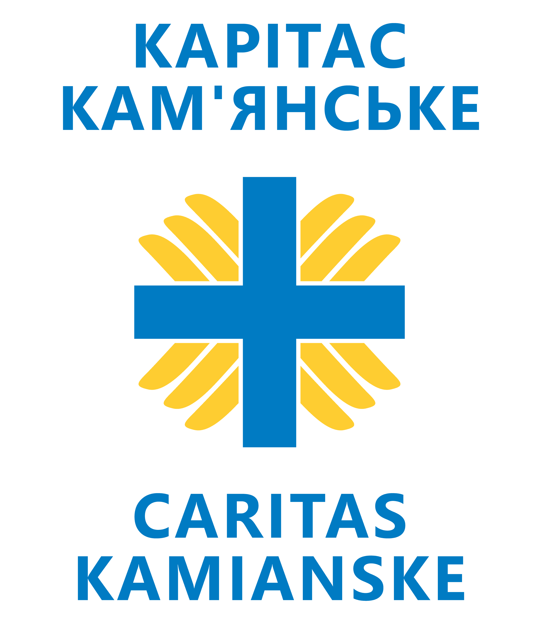 organization-logo