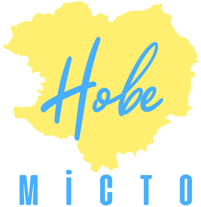 organization-logo